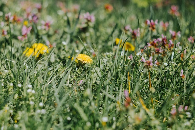 Blog