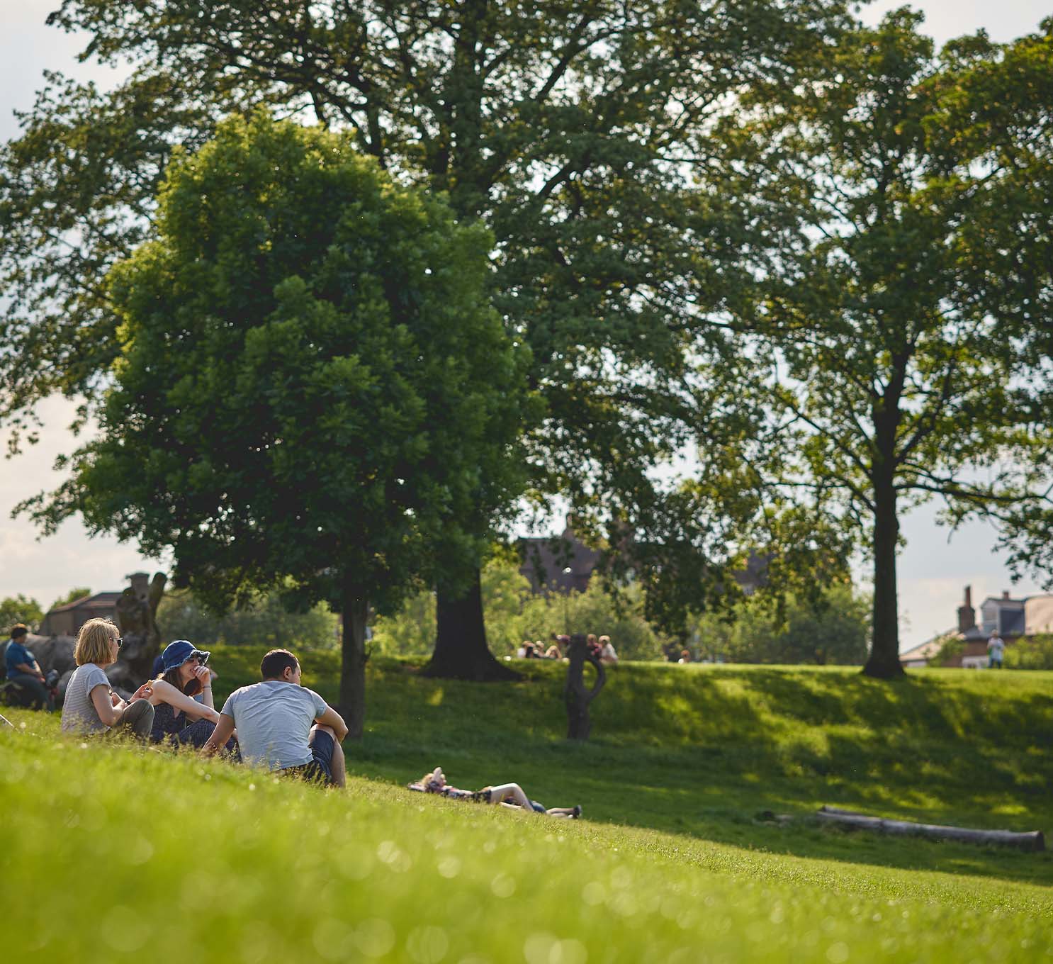 Francis Chappell & Sons Funeral Directors